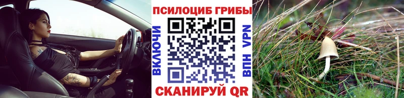 Галлюциногенные грибы прущие грибы  закладка  Белокуриха 